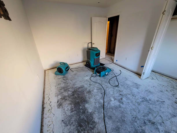 Best Basement water damage restoration  in Las Palmas Ii, TX
